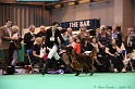 Crufts2011 841